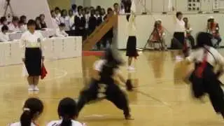 Best of Naginata 　~ 薙刀 ~