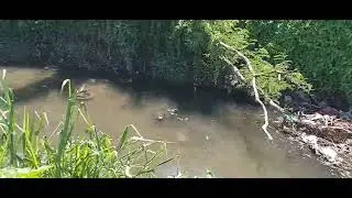 Body of man who washed away in gully found