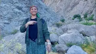 Ayşe Şewaqî - Cemre (2023)