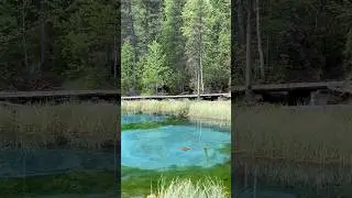 Ощеро Алтая
