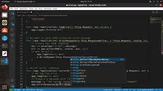 Building APIs with Go - JSON formatted centralized error handling