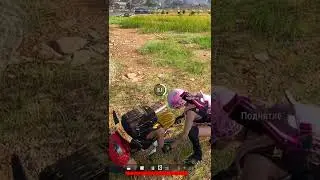 Куктуз медсумка! 