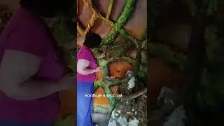 Как мы купили дом на Сахалине🛖.