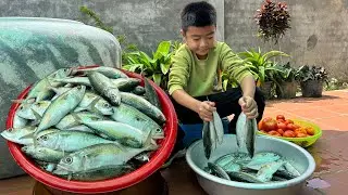 '' Jack fish recipe'' - Yummy ocean fish cooking - Chef Seyhak