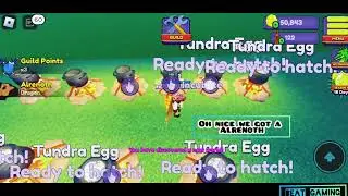 hatching 10 tundra eggs in dragon adventures (ROBLOX)