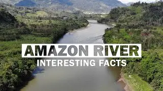 17 Fascinating Facts About Amazon River | Disputed Largest River In The World