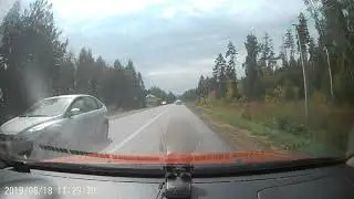 Вдруг из леса выбегает ЛОСЬ!!!! Лось на дороге.