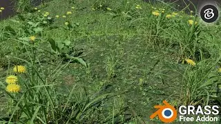Create a Realistic grass in blender | Grass | Blender 2.9 |