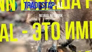 Готовы ли вы взять свою торговлю криптовалютой на новый уровень?