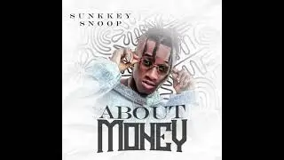 Sunkkeysnoop - About Money