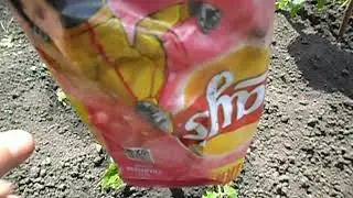 Вода из воздуха.Не выбрасывайте пустые пакеты из под чипсов.