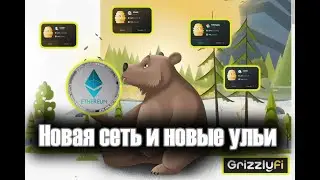 Новая сеть и новые ульи в Grizzly Fi