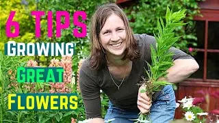 6 Tips for Growing Great Flowers 💐