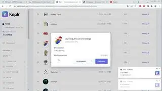 Ответы на основные вопросы новичков про проект Umee