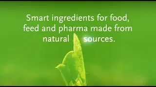 Introducing BENEO’s New Corporate Image Video!