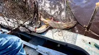 Щуки прут! Рыбалка на фитили на севере
