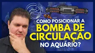 HOW TO POSITION THE CIRCULATION PUMP IN THE AQUARIUM?