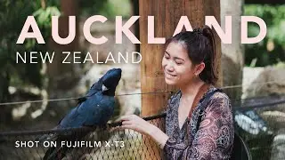 A Taste of Auckland | Cinematic Travel Film Shot on The Fuji X-T3