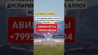 АВИБИЛЕТЫ онлайн +79953138304#tiktok #avto #youtube АВИБИЛЕТЫ +79953138304#beruniy