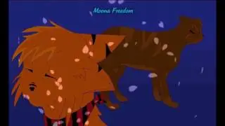 Коты Воители - Моё Племя.