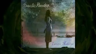 Soulic Paradox - Lunatic Madeline