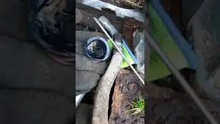 Рено Канго 2