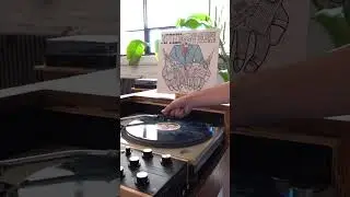 The Pro-Teens TTL Exclusive Vinyl - Can You ID These MF DOOM Covers?