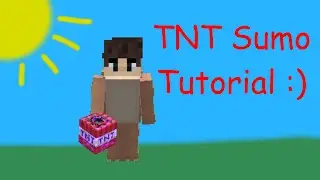 My Flawless Strategy To Win TNT Sumo