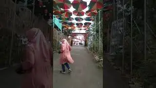 Bukit sakura rekomendasi destinasi wisata kota Bandar Lampung🤩🤩👌👍🏻🤩(3)