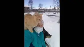 #Гром_и