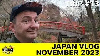 Japan VLog - November 2023