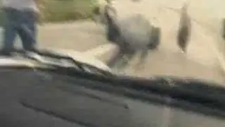 Car crash(RollsRoyce)