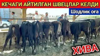 МАНА КЕЧА АЙТИЛГАН ЯНГИ ПАРТИЯ ҚИРҒИЗ ШВЕЦЛАРИ КЕЛДИ Шодлик оға ХИВА 29-август 2024 г.