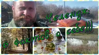 Челендж 6 фактов о себе