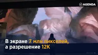 Вам бы тоже понравилось приходить в такой офис ;)