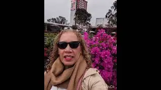 Lima Travel Edit