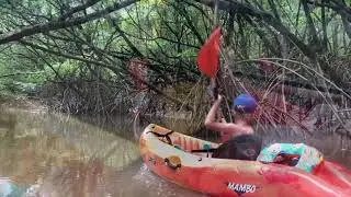 LA GUYANE EN FAMILLE #15 - La crique Macouria