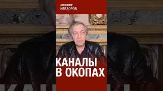 ‪@NevzorovTV‬