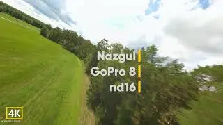 Съёмка леса на FPV дроне iFlight Nazgul evoque f5 с применением видеокамеры GOPRO 8 и ND фильтров.