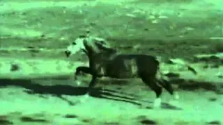 Geçmişimden Azad Ediyorum Seni Silebilirsin