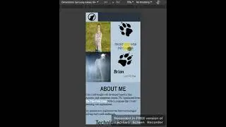portfolio2