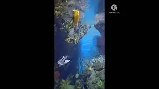 Aquarium. Malta.🌟😊👍❤
