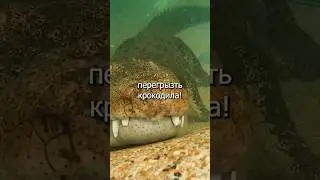 САМОЕ ОПАСНОЕ МЛЕКОПИТАЮЩЕЕ