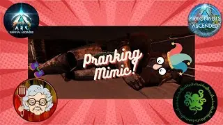 Pranking Mimic