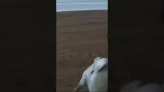 Все. Сдаюсь😦