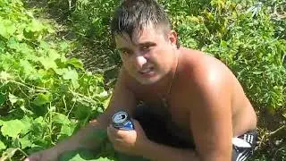 Доктор Попов версия 2.0