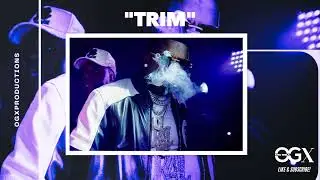 [FREE] Big Boogie x Glorilla Type Beat 