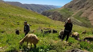 Nomadic Life: The Beauty of Nomadic Culture: Nomadic Adventures Begin🌎💫