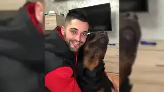 Every Dog Needs Love 💖🐕 | Showing Love | Hugs From Owners