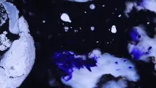 Brutal Way (Lyric Video)